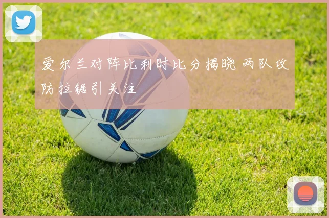 爱尔兰对阵比利时比分揭晓 两队攻防拉锯引关注