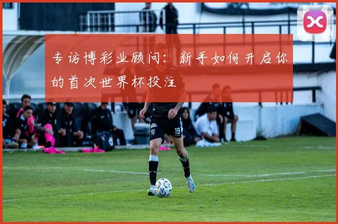 专访博彩业顾问:新手如何开启你的首次世界杯投注