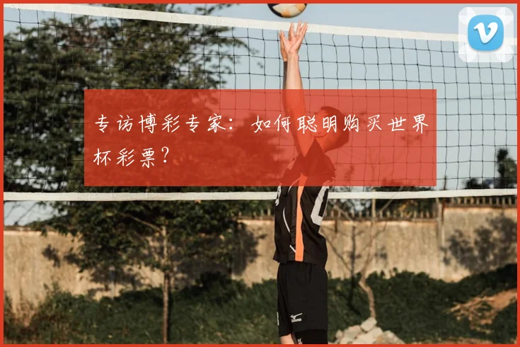 专访博彩专家:如何聪明购买世界杯彩票?