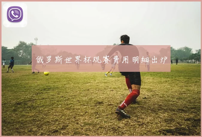 俄罗斯世界杯观赛费用明细出炉