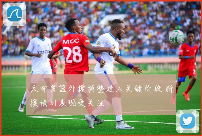 天津男篮外援调整进入关键阶段 新援试训表现受关注