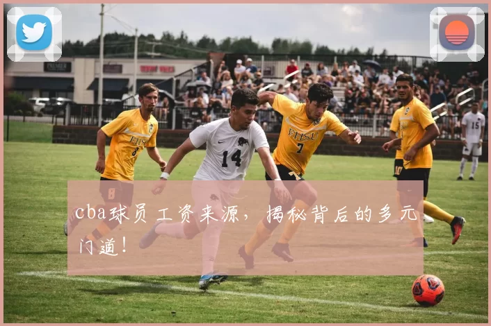 cba球员工资来源，揭秘背后的多元门道！