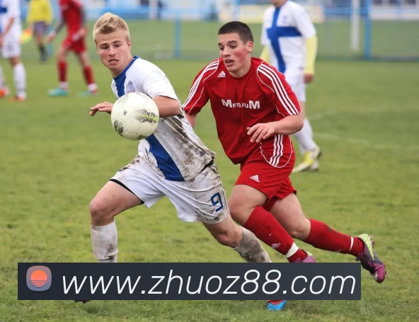 数据防护可视化